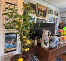 WhatsApp Image 2026-04-20 at 19.41.42